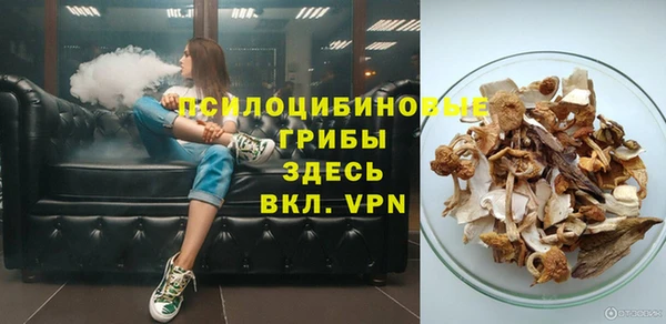 а пвп мука Абаза