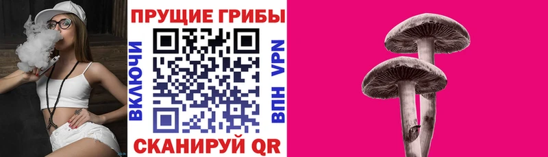 OMG сайт  Соликамск  Галлюциногенные грибы мухоморы 